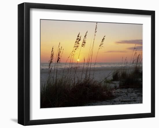 Sunset, Gulf Coast, Longboat Key, Anna Maria Island, Beach, Florida, USA-Fraser Hall-Framed Photographic Print