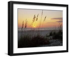 Sunset, Gulf Coast, Longboat Key, Anna Maria Island, Beach, Florida, USA-Fraser Hall-Framed Photographic Print