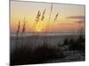 Sunset, Gulf Coast, Longboat Key, Anna Maria Island, Beach, Florida, USA-Fraser Hall-Mounted Photographic Print