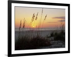 Sunset, Gulf Coast, Longboat Key, Anna Maria Island, Beach, Florida, USA-Fraser Hall-Framed Photographic Print