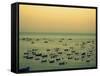 Sunset Harbour II-Lillian Bell-Framed Stretched Canvas