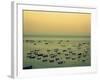 Sunset Harbour II-Lillian Bell-Framed Photographic Print