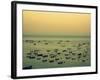 Sunset Harbour II-Lillian Bell-Framed Photographic Print