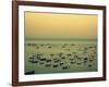 Sunset Harbour II-Lillian Bell-Framed Photographic Print