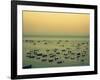 Sunset Harbour II-Lillian Bell-Framed Photographic Print