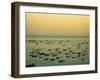 Sunset Harbour II-Lillian Bell-Framed Photographic Print