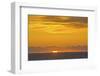 Sunset, Heceta Beach, Oregon Coast, Pacific Ocean, Oregon, USA.-Michel Hersen-Framed Photographic Print