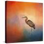 Sunset Heron-Jai Johnson-Stretched Canvas
