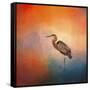 Sunset Heron-Jai Johnson-Framed Stretched Canvas