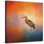 Sunset Heron-Jai Johnson-Stretched Canvas