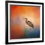 Sunset Heron-Jai Johnson-Framed Giclee Print