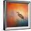 Sunset Heron-Jai Johnson-Framed Giclee Print