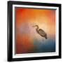 Sunset Heron-Jai Johnson-Framed Giclee Print