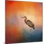 Sunset Heron-Jai Johnson-Mounted Giclee Print