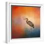 Sunset Heron-Jai Johnson-Framed Giclee Print