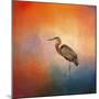 Sunset Heron-Jai Johnson-Mounted Giclee Print