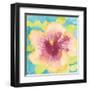 Sunset Hibiscus I-Beverly Dyer-Framed Art Print