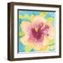 Sunset Hibiscus I-Beverly Dyer-Framed Art Print