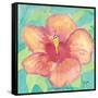 Sunset Hibiscus II-Beverly Dyer-Framed Stretched Canvas