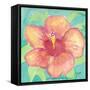 Sunset Hibiscus II-Beverly Dyer-Framed Stretched Canvas