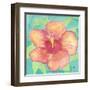 Sunset Hibiscus II-Beverly Dyer-Framed Art Print