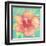 Sunset Hibiscus II-Beverly Dyer-Framed Art Print