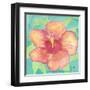 Sunset Hibiscus II-Beverly Dyer-Framed Art Print