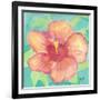 Sunset Hibiscus II-Beverly Dyer-Framed Art Print