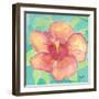 Sunset Hibiscus II-Beverly Dyer-Framed Art Print