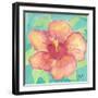 Sunset Hibiscus II-Beverly Dyer-Framed Art Print