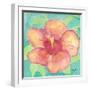 Sunset Hibiscus II-Beverly Dyer-Framed Art Print