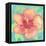 Sunset Hibiscus II-Beverly Dyer-Framed Stretched Canvas