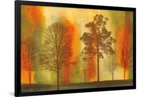 Sunset I-Chris Donovan-Framed Art Print