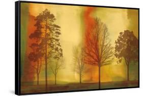 Sunset II-Chris Donovan-Framed Stretched Canvas