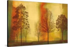 Sunset II-Chris Donovan-Stretched Canvas