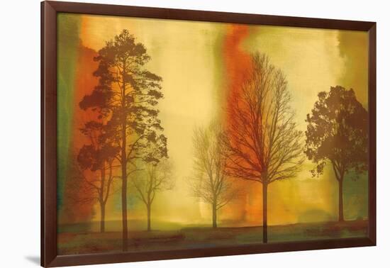 Sunset II-Chris Donovan-Framed Art Print