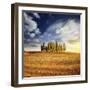 Sunset in a Golden Field with a Row of Cypress Trees, Italy, Tuscany-null-Framed Photographic Print