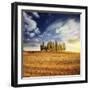 Sunset in a Golden Field with a Row of Cypress Trees, Italy, Tuscany-null-Framed Photographic Print