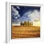 Sunset in a Golden Field with a Row of Cypress Trees, Italy, Tuscany-null-Framed Photographic Print