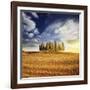 Sunset in a Golden Field with a Row of Cypress Trees, Italy, Tuscany-null-Framed Photographic Print