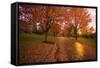 Sunset in Autumn Along a Country Road-Craig Tuttle-Framed Stretched Canvas
