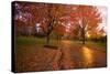 Sunset in Autumn Along a Country Road-Craig Tuttle-Stretched Canvas