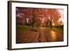 Sunset in Autumn Along a Country Road-Craig Tuttle-Framed Photographic Print