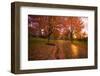 Sunset in Autumn Along a Country Road-Craig Tuttle-Framed Photographic Print