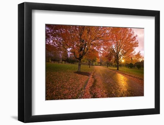 Sunset in Autumn Along a Country Road-Craig Tuttle-Framed Photographic Print