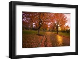 Sunset in Autumn Along a Country Road-Craig Tuttle-Framed Photographic Print