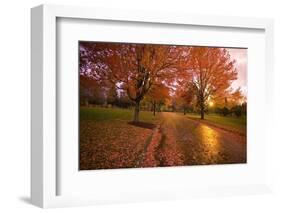 Sunset in Autumn Along a Country Road-Craig Tuttle-Framed Photographic Print