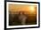 Sunset in Bagan (Pagan), Myanmar (Burma), Asia-Peter Schickert-Framed Photographic Print