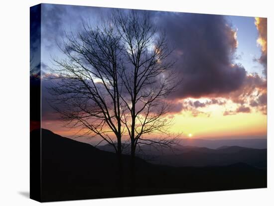Sunset in Blue Ridge Mountains, Shenandoah National Park, Virginia, USA-Charles Gurche-Stretched Canvas