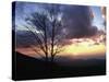 Sunset in Blue Ridge Mountains, Shenandoah National Park, Virginia, USA-Charles Gurche-Stretched Canvas